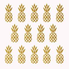 pineapple_main